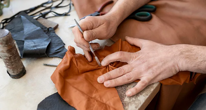 discovery-expression